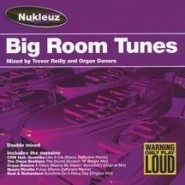 bigroomtunes