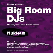 Big Room DJs