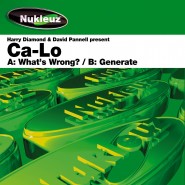 0394 Ca-Lo 'Whats Wrong'