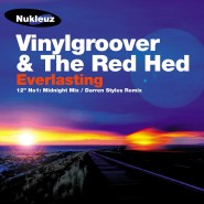 0412 Vinylgroover 'Everlasting'