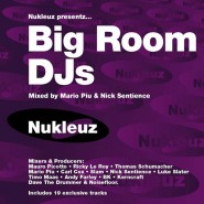 Big Room DJs – Mixed by Mario Piu & Nick Sentience [2001]