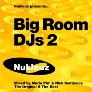 Big Room DJs 2 – Mixed by Mario Piu & Nick Sentience [2001]