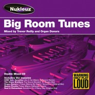 Big Room Tunes – Mixed by Trevor Reilly & Organ Donors [2003]